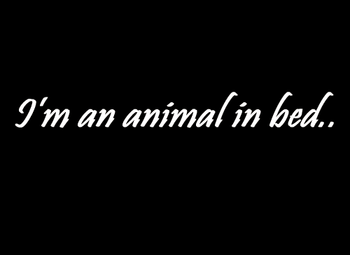 Animal in Bed (Deleted)