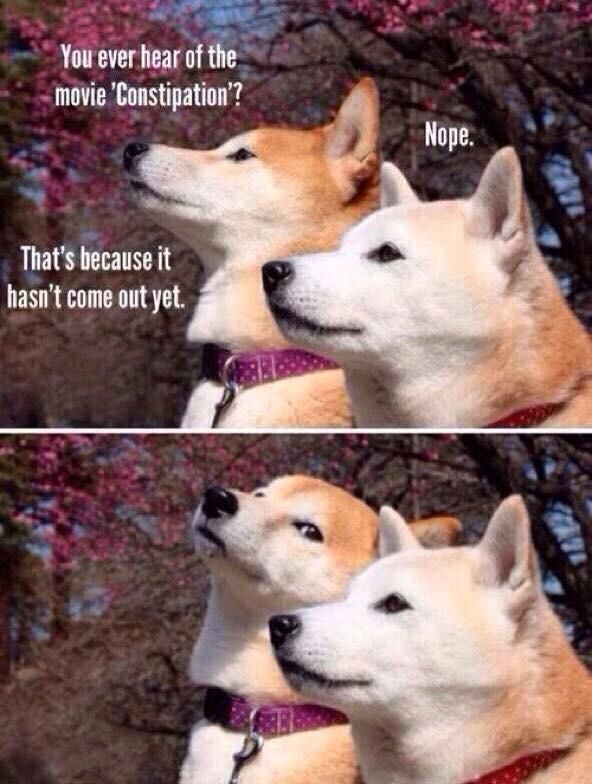 Dog humor at its finest.