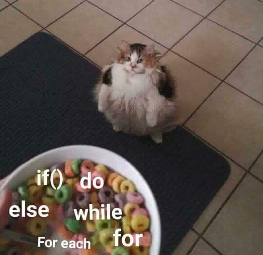 Best lööps