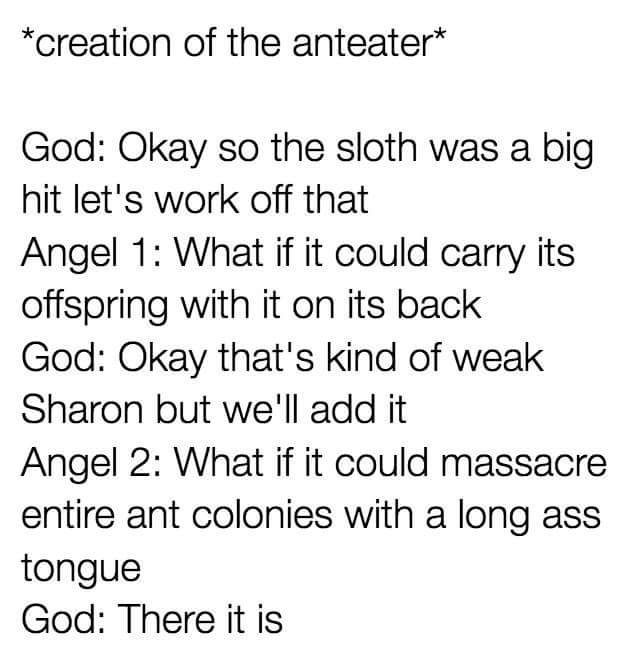 Anteater: Origins
