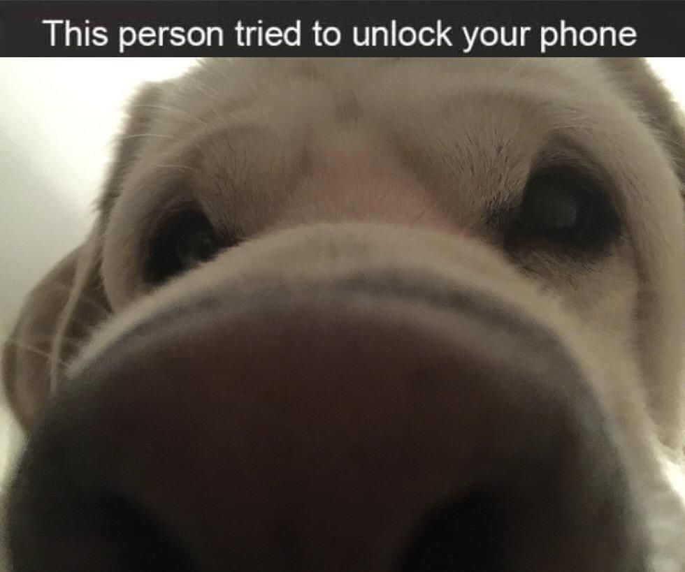 This person tried to unlock your phone