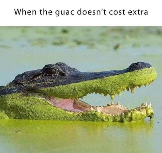 The croc does though