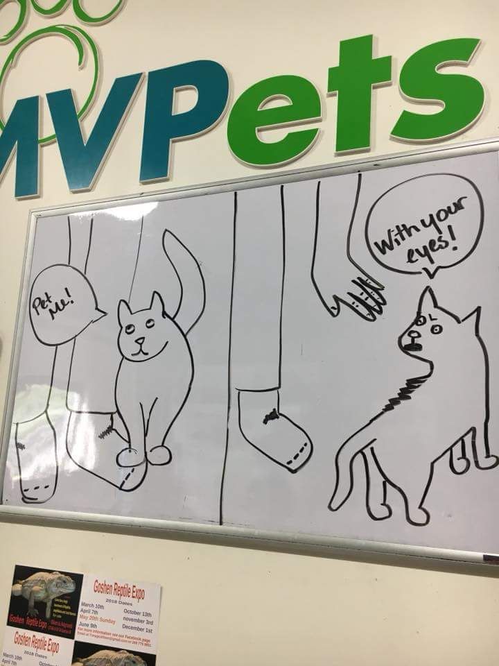 My friend draws the best cartoons working at a pet store. This is my favorite.