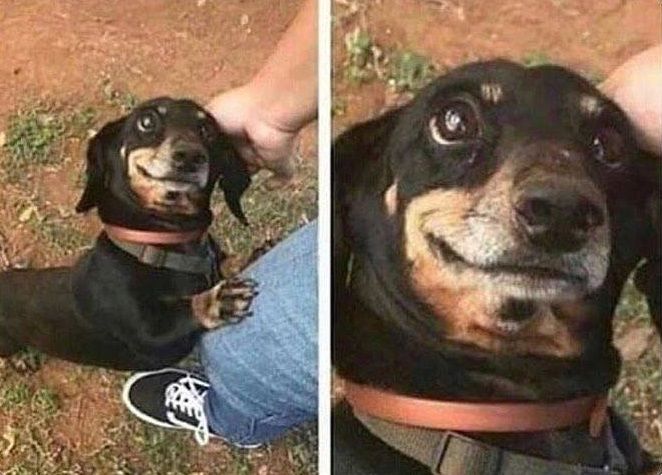 When someone has explained something to you 10 times & you still don't get it and you Hope they forgive how stupid you are
