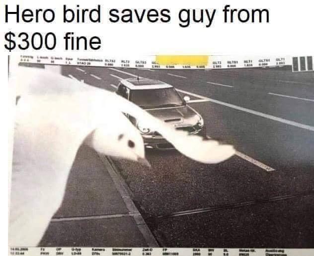 That´s a hero
