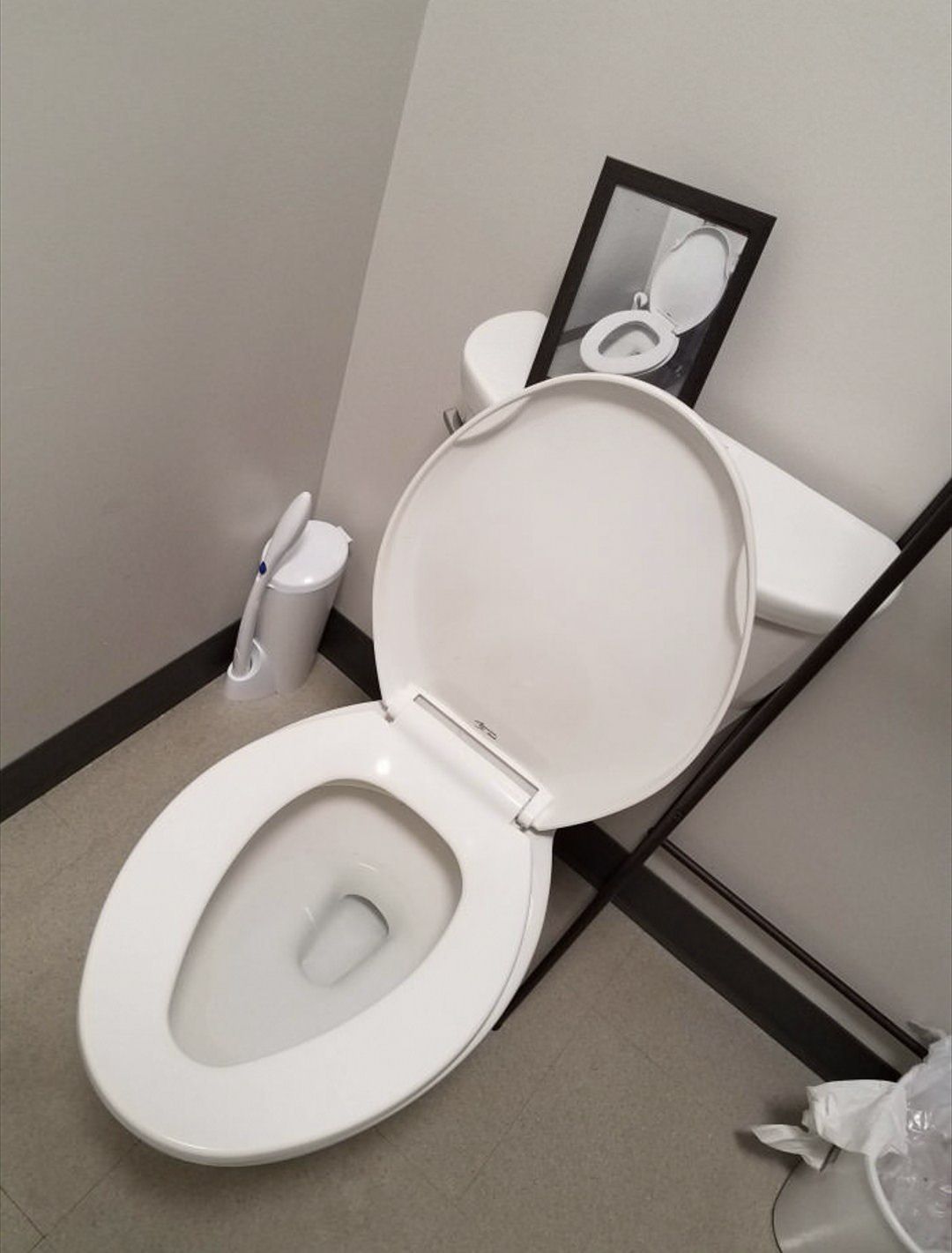My friend has a framed photo of his toilet on his toilet