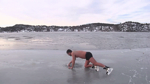 Norwegians