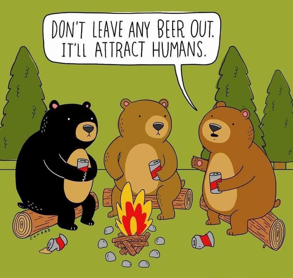 Bears know.