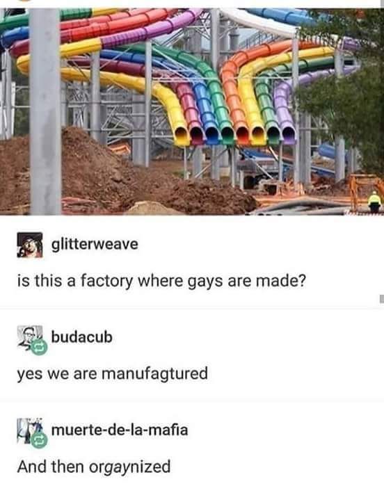 Ever wonder where gay people come from?