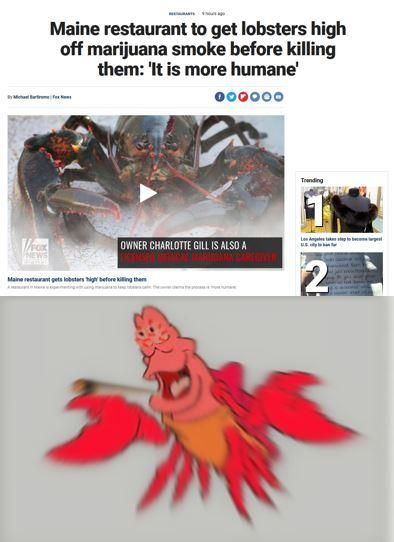 I guess it's truly better under the sea