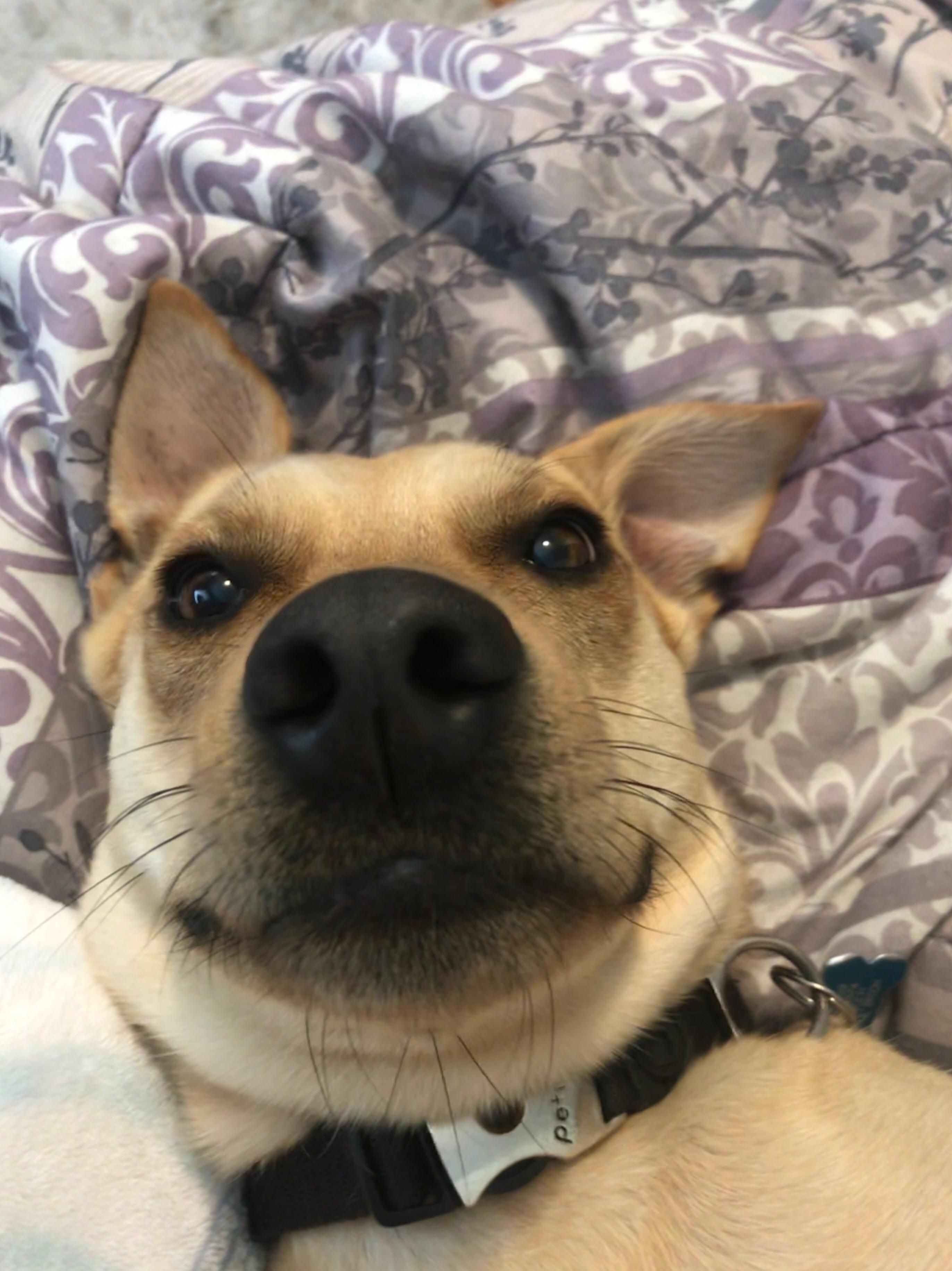 When you accidentally open the front facing camera and notice how cute you look today