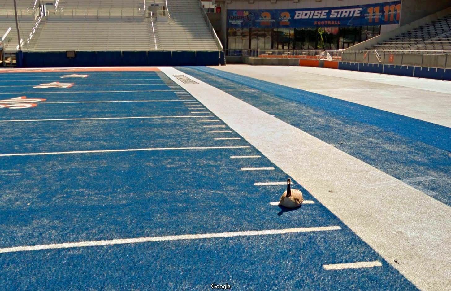 Boise state has a blue football field. It confuses out of towners.