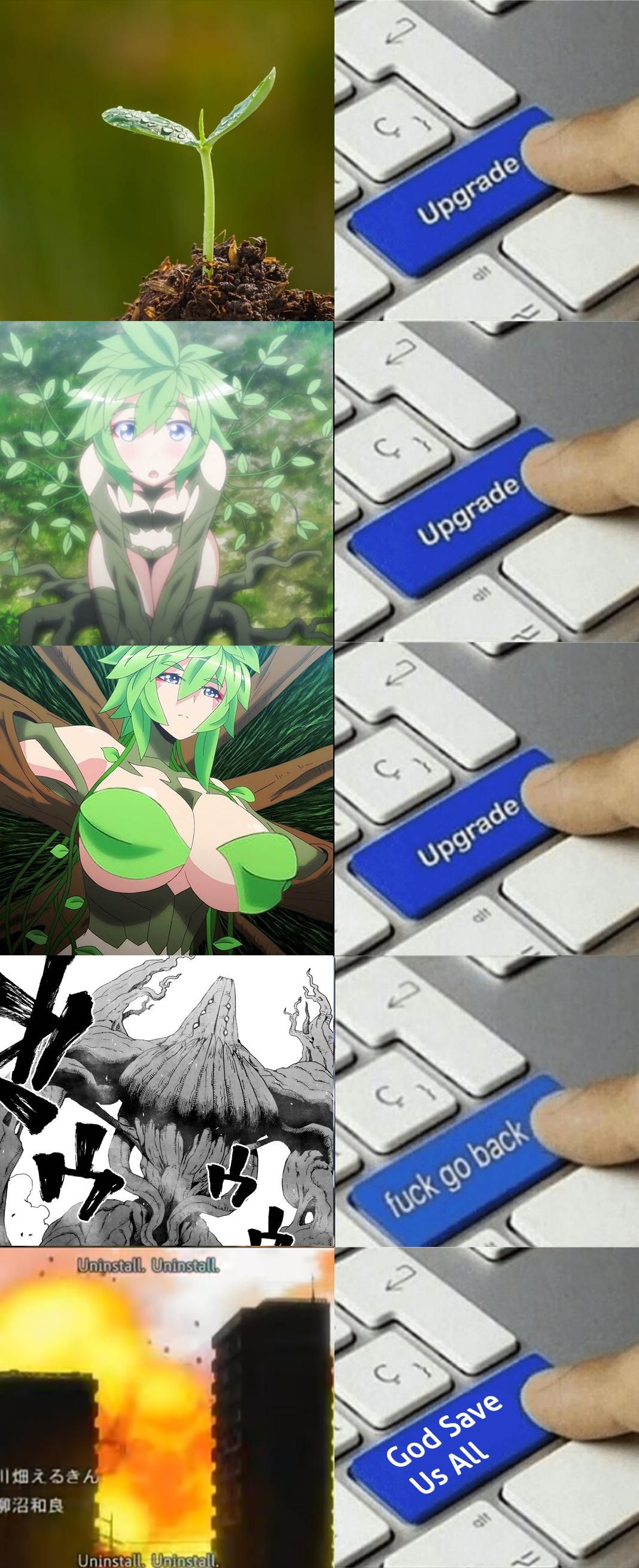 *Chlorophyll intensifies*