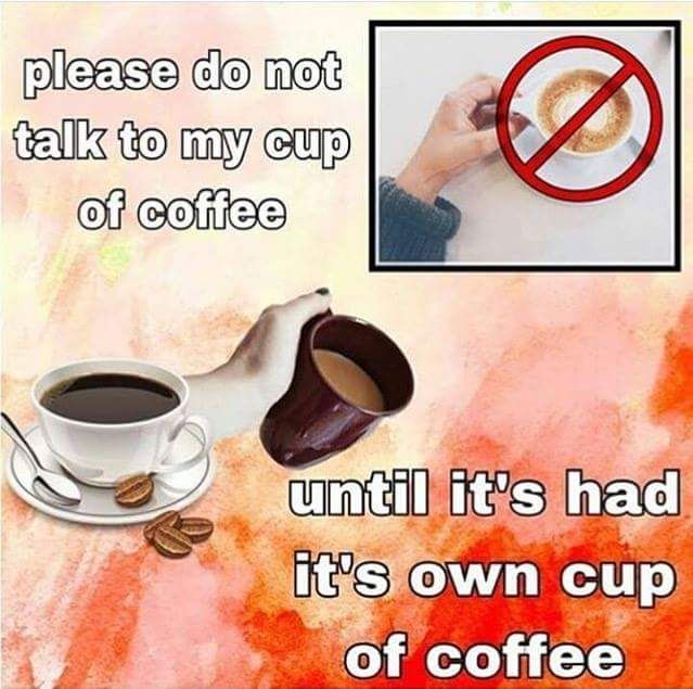 just don't