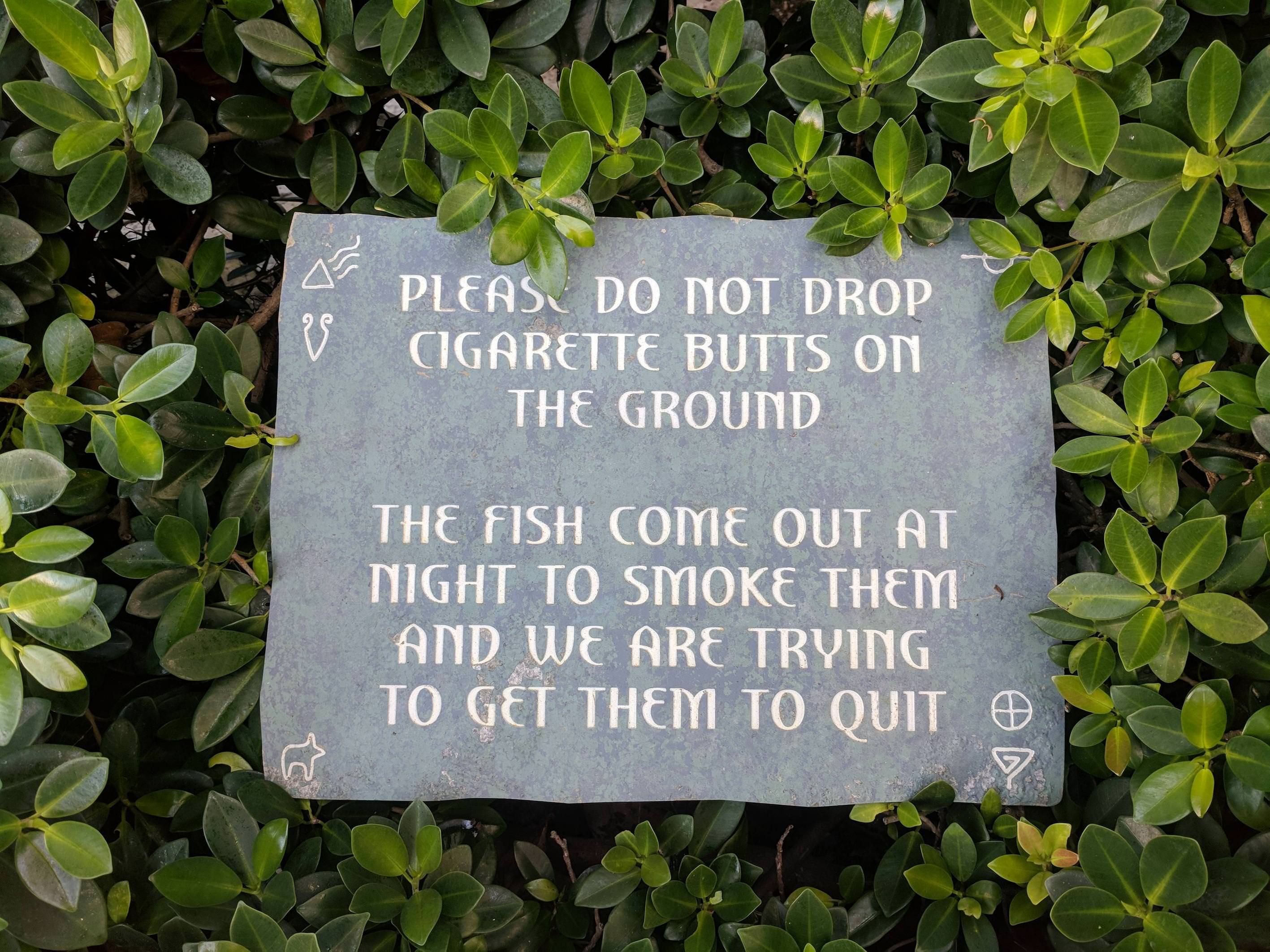 This sign I saw in the Bahamas