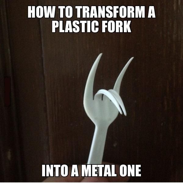 Fork this
