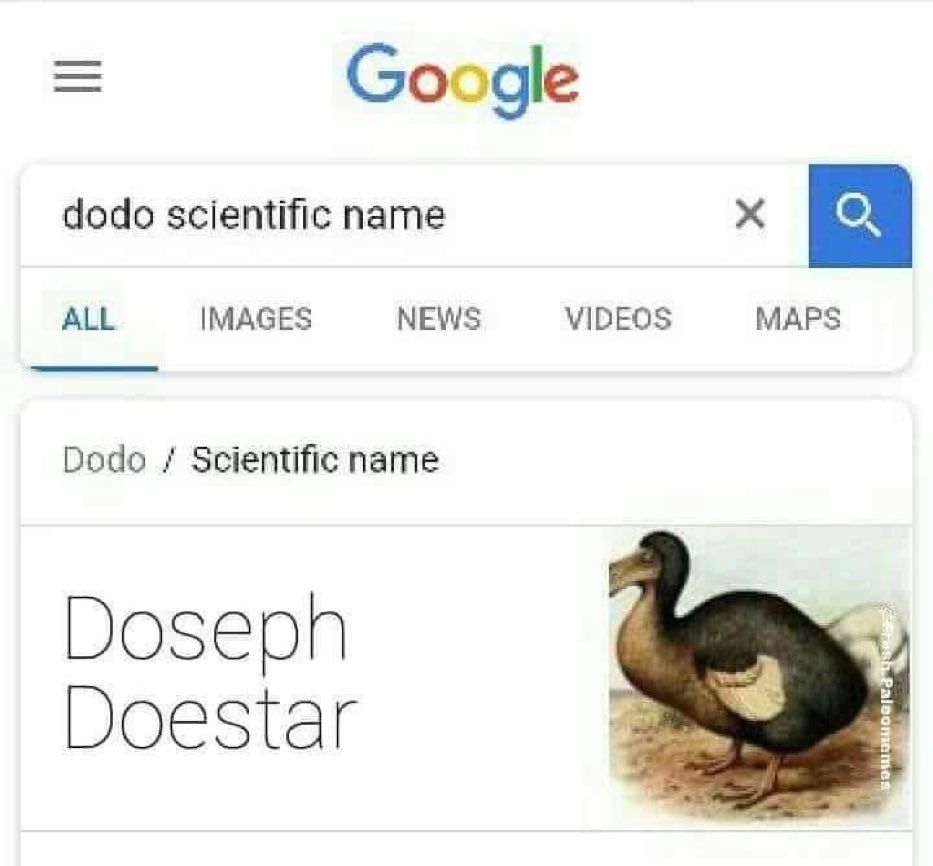 Dodo's Bizarre Adventure