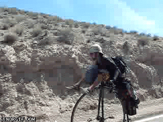Meanwhile in the desert