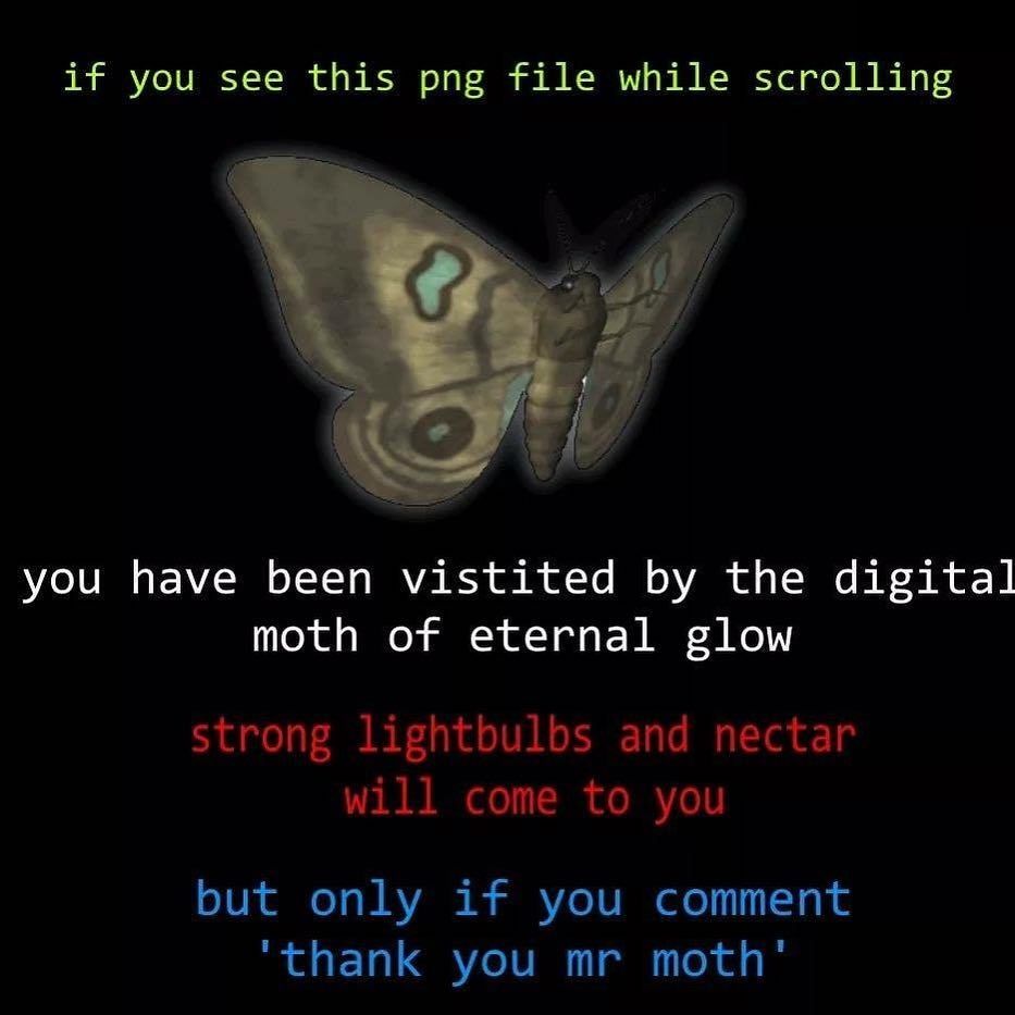 thank you mr moth