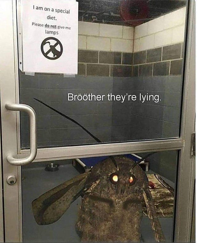 BrÖtHeR