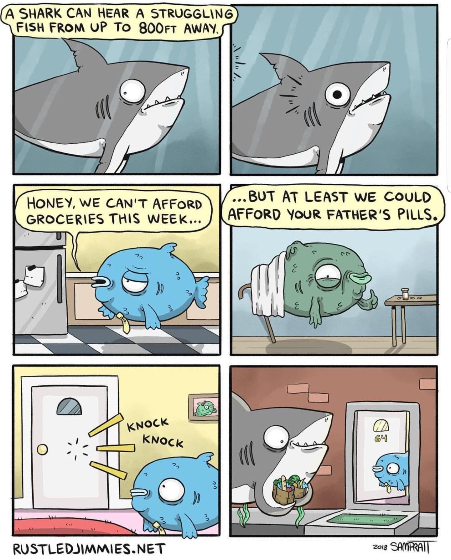 Wholesome shark