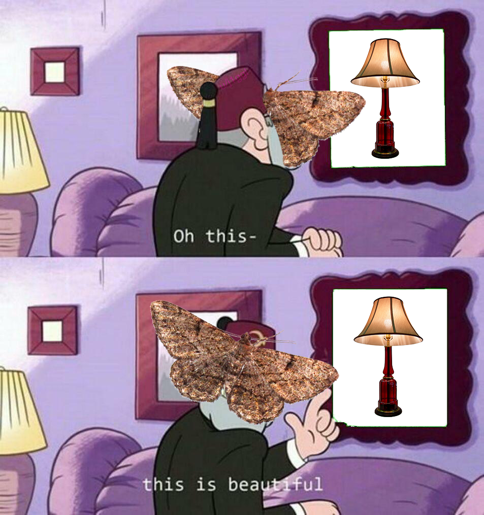 It really is, isnt it