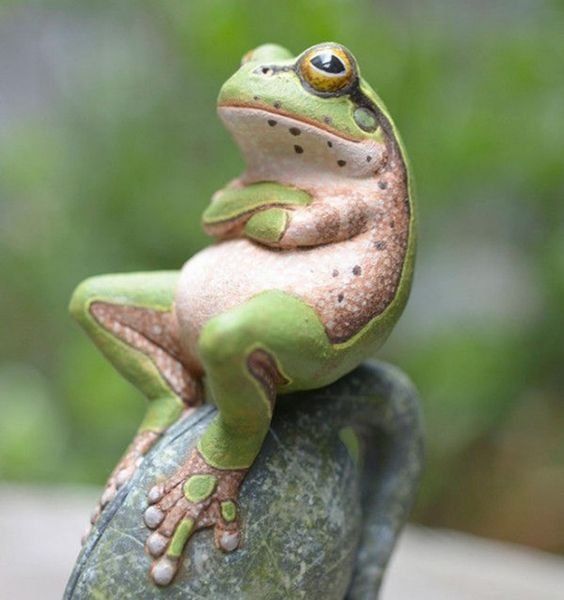 Thinking frog