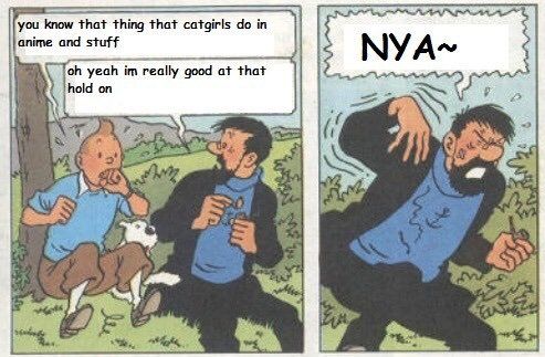We need more Tintin memes