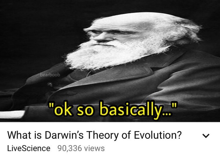 On the origin of memes.