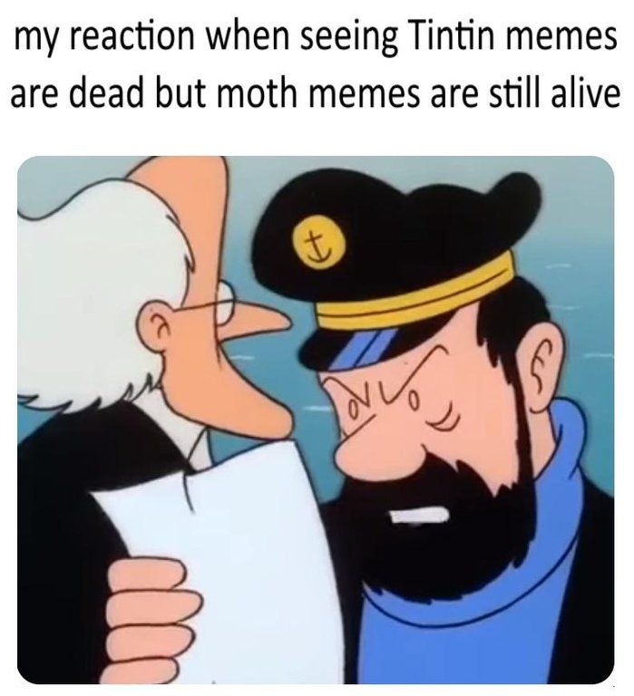 The moths have never been funny.