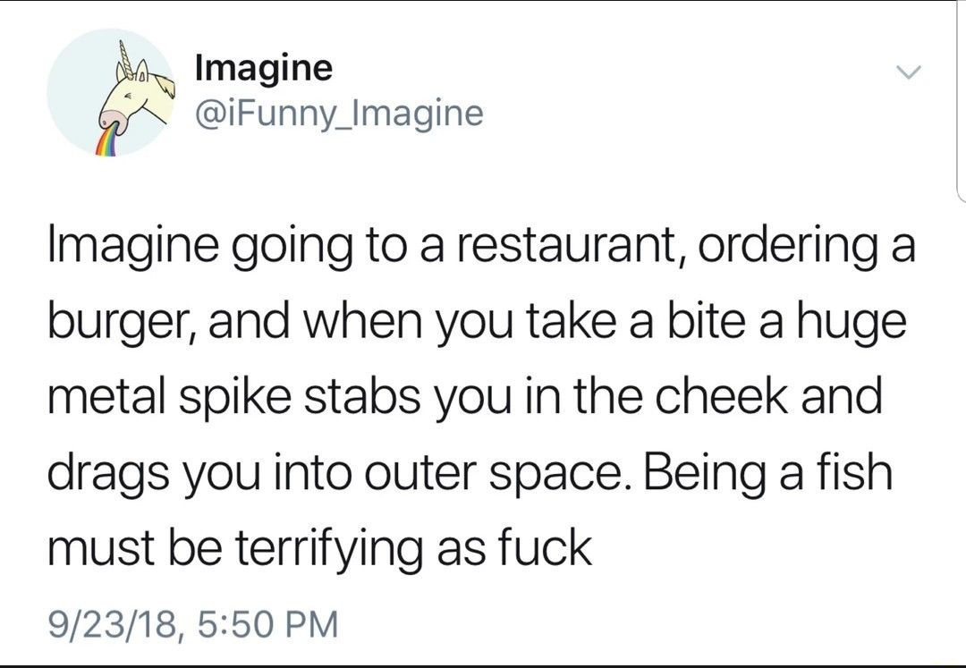 I don't even like fish