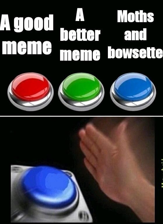 Please stop