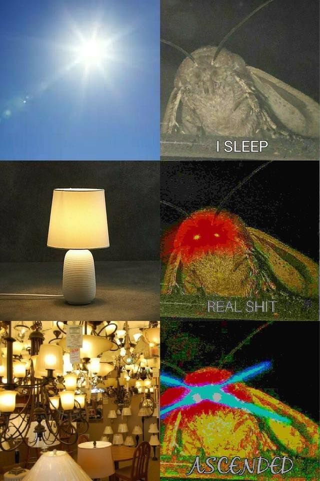 yeet