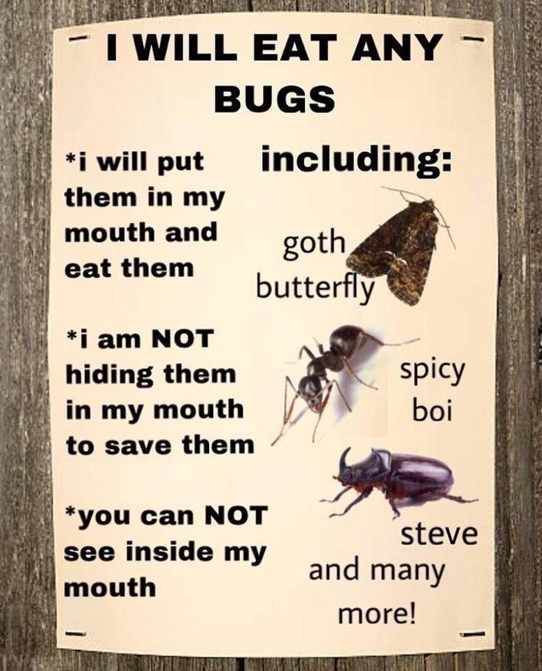 big titty moth gf