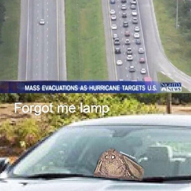 priorities