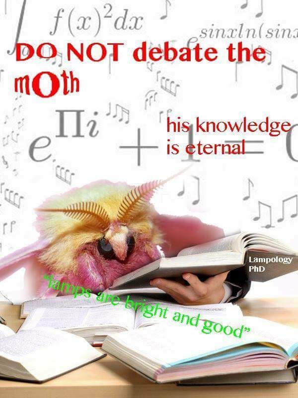 Have some moths.