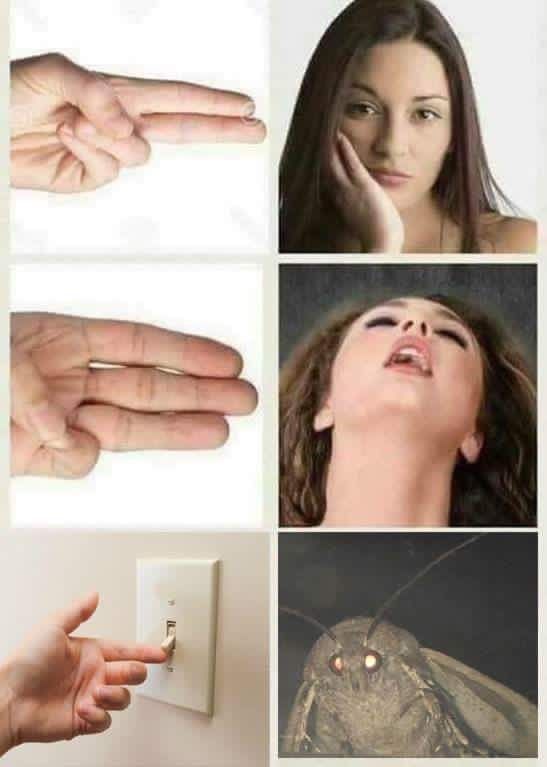dfghvblifut