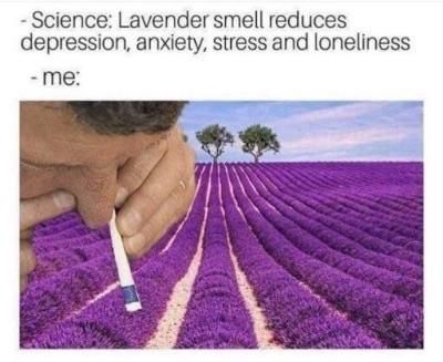 Lavenderine