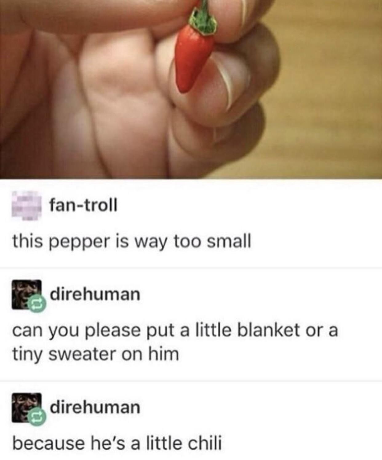 Tiny chili