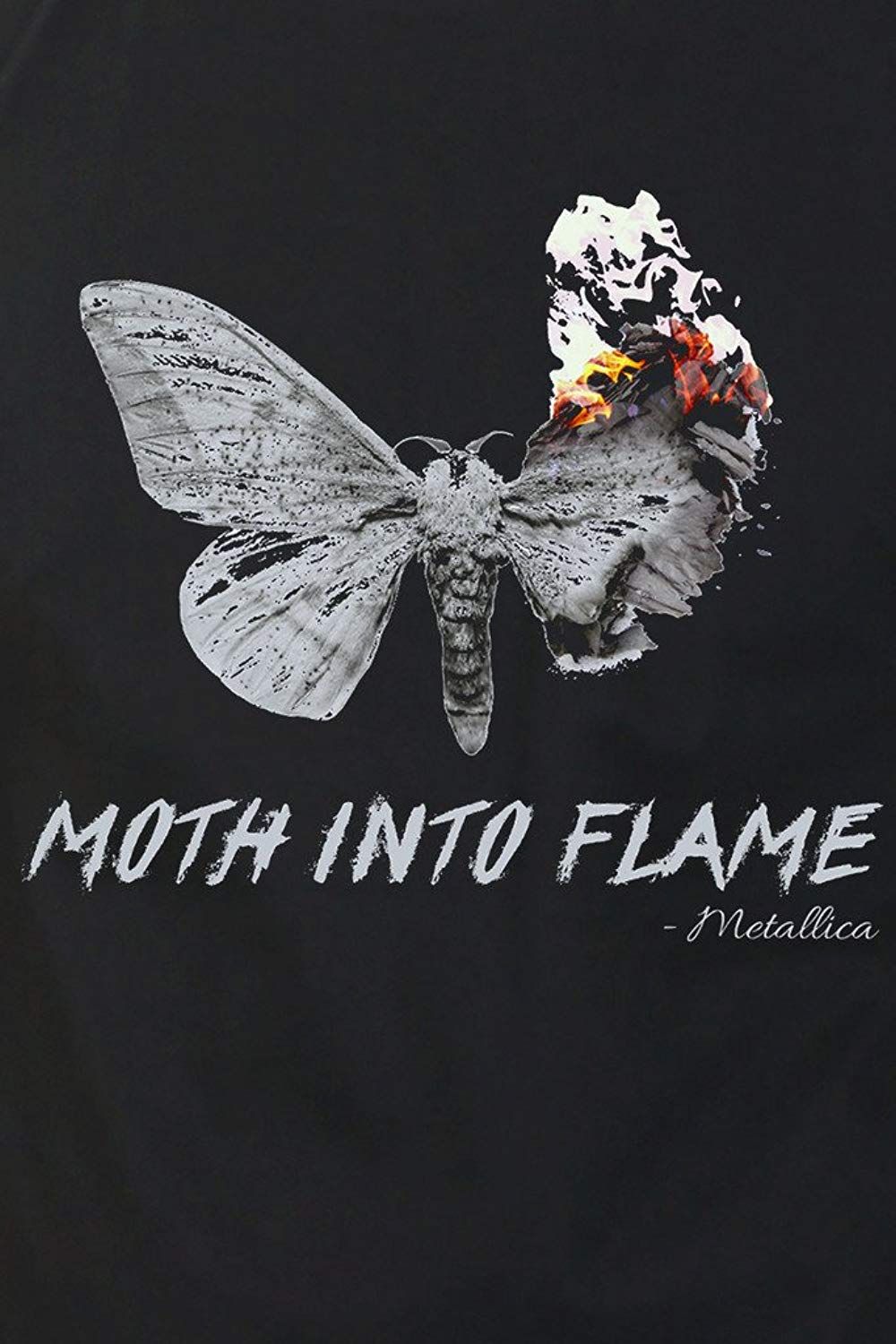 Another Moth Meme