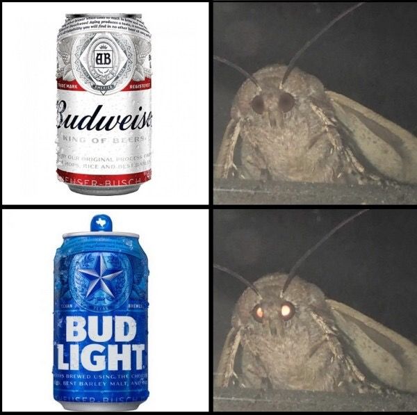 Zoink