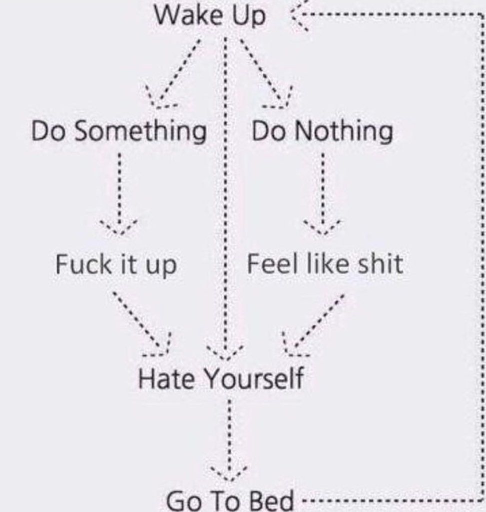 Life Cycle