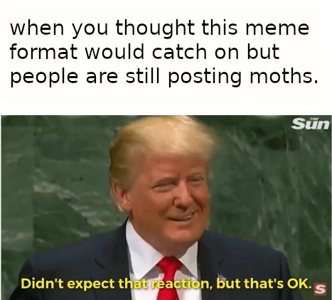 It's fine really.