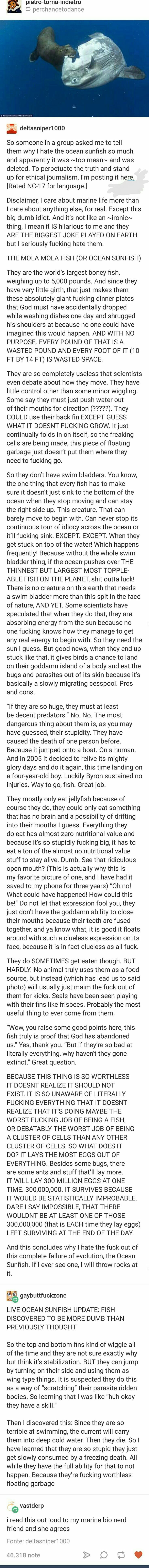 I always knew fish were stupid, but this takes the cake