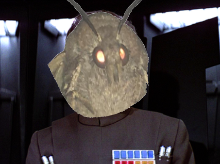 Grand Moth Tarkin