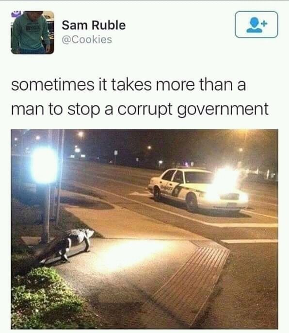It takes a crocodile or an aligator on the inside