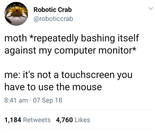 ∅
