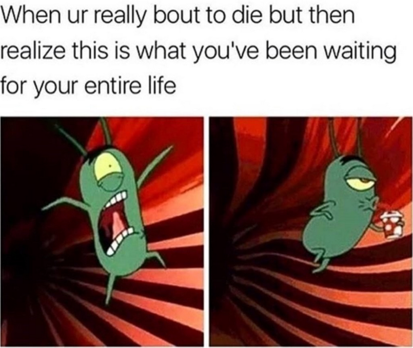 Just sit back and enjoy the ride