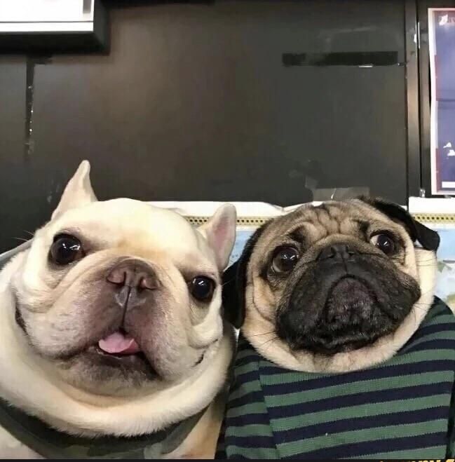 Every old couple on Skype for the first time