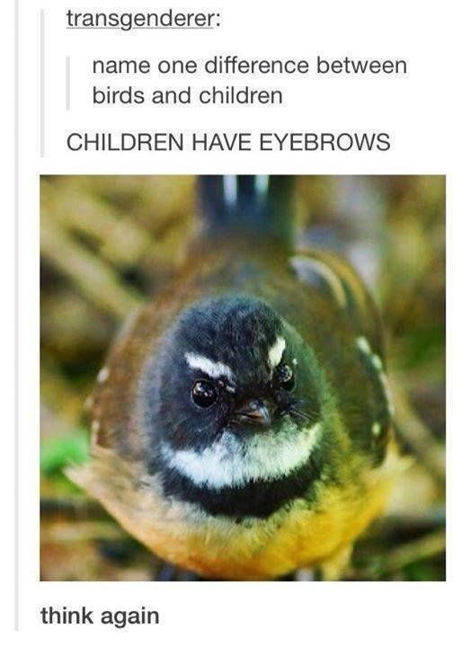 U wOt m8